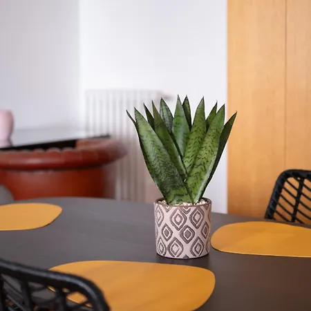 Amas Loft Principe Amedeo Bari